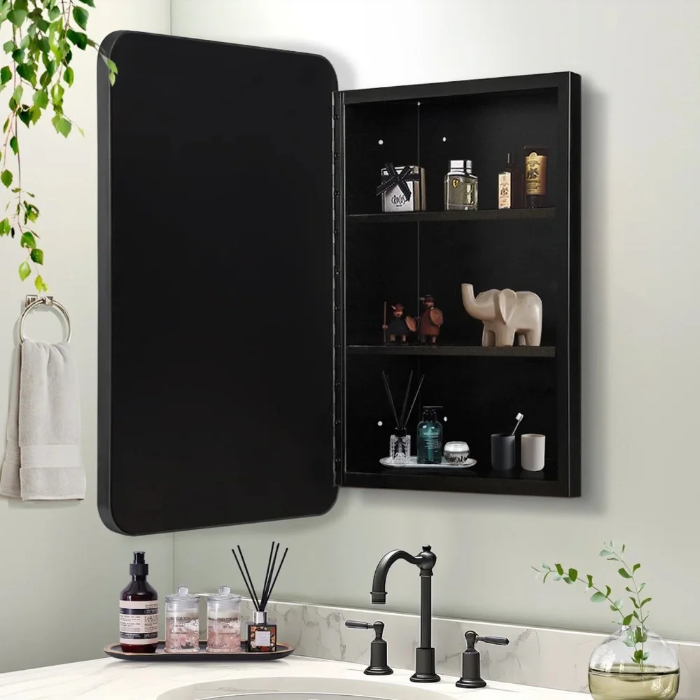 Modern Black Frame Medicine Cabinet Mirror